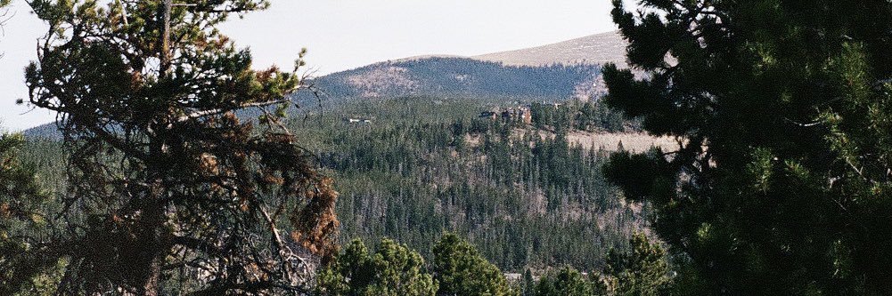 Subtlelifee's profile banner image