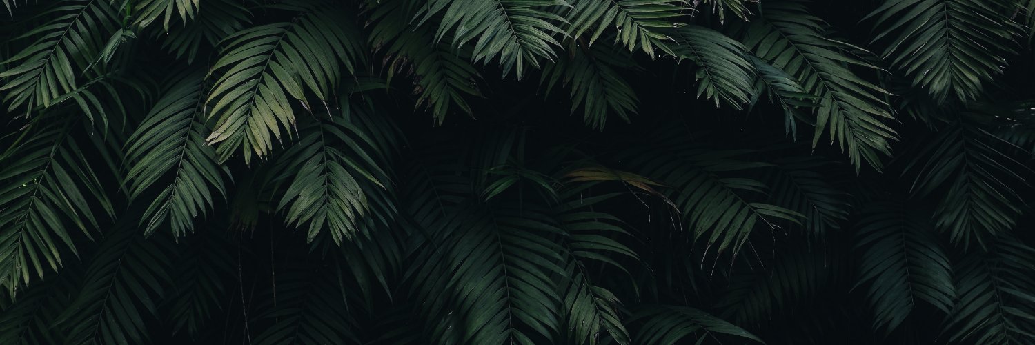 Hew0x's profile banner image