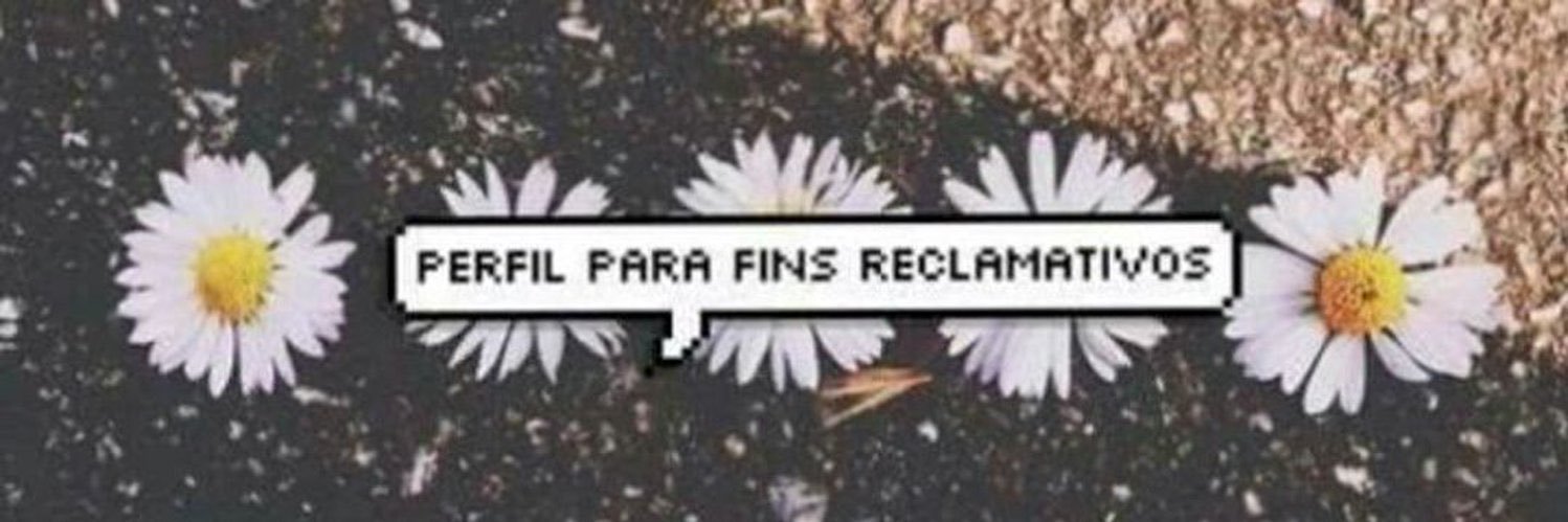 FanneLopes2's profile banner image