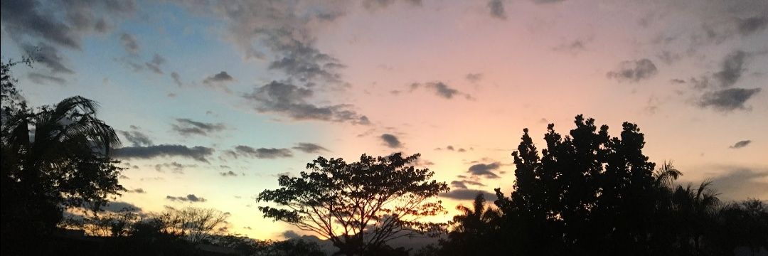 pilarperalta's profile banner image
