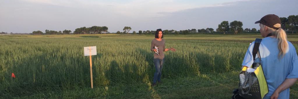 Michelle Carkner banner