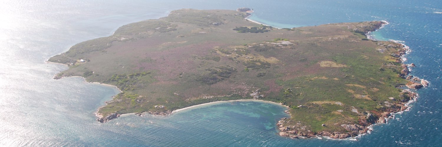 Steve Gledden banner