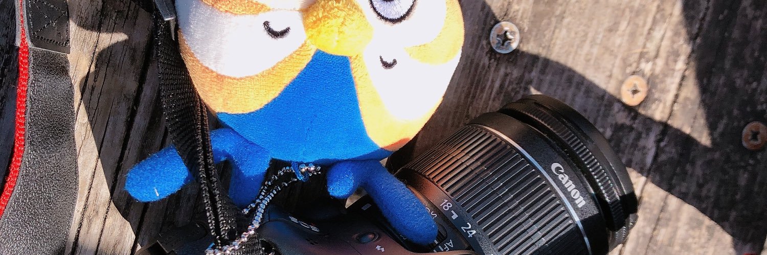 uriuriuriy's profile banner image