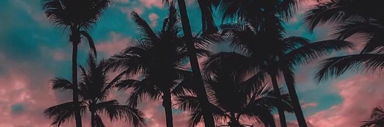 _ninachop's profile banner image