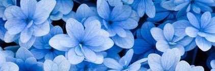 ziweichenn's profile banner image