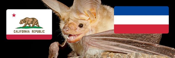 lefttwick Profile Banner