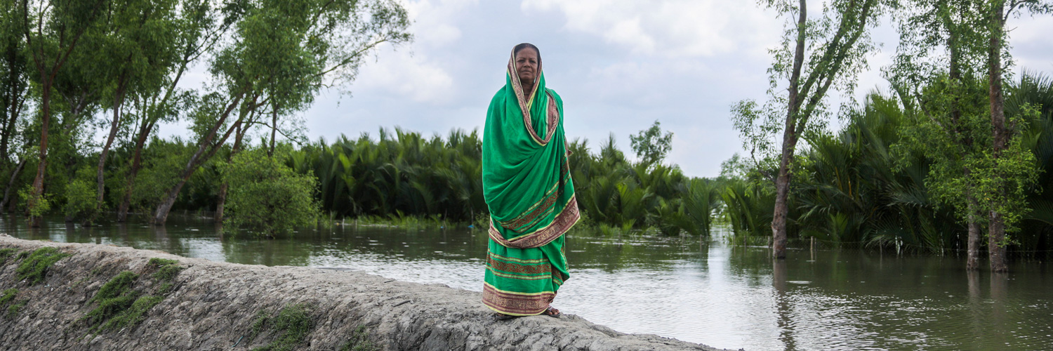 Winrock International banner