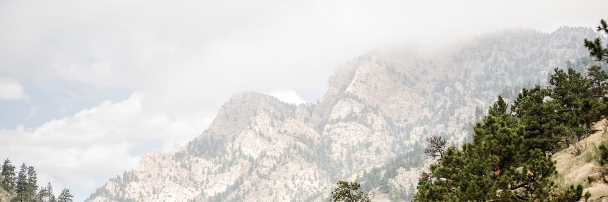 Dan Flynn banner
