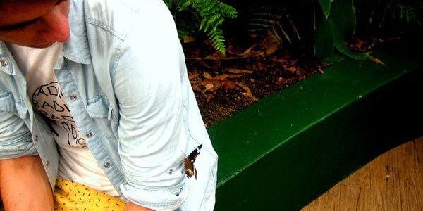 TheTomasKelly's profile banner image