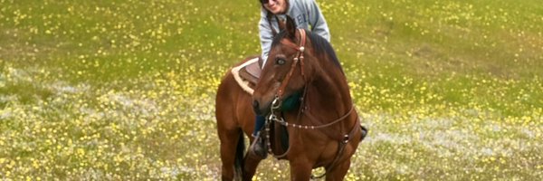 eclecticeq Profile Banner