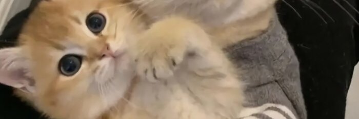 ERICKSWAG1's profile banner image