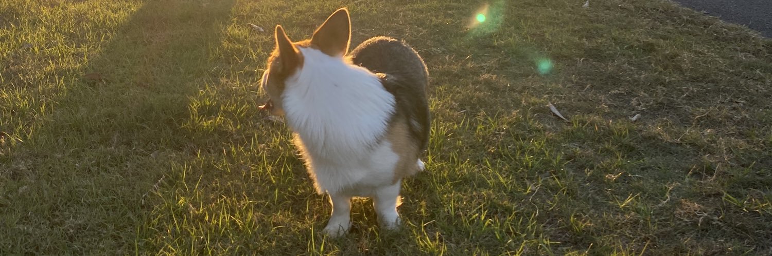 Attilakoo's profile banner image