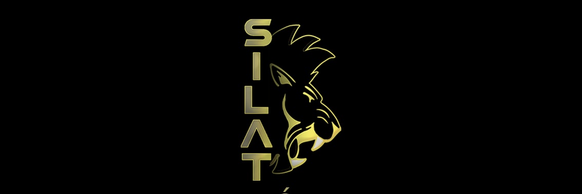 Silatleon's profile banner image