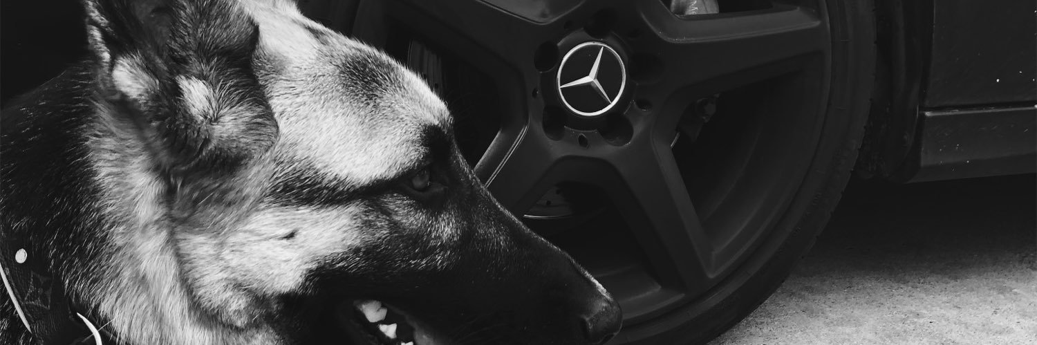 georgika77's profile banner image
