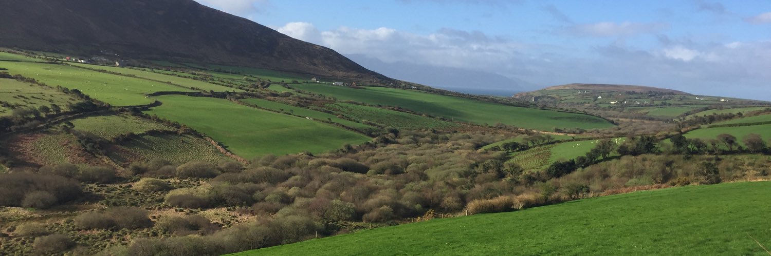 Sunshine Girl 🇺🇸 banner