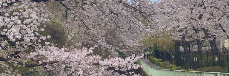 _u_u_b's profile banner image