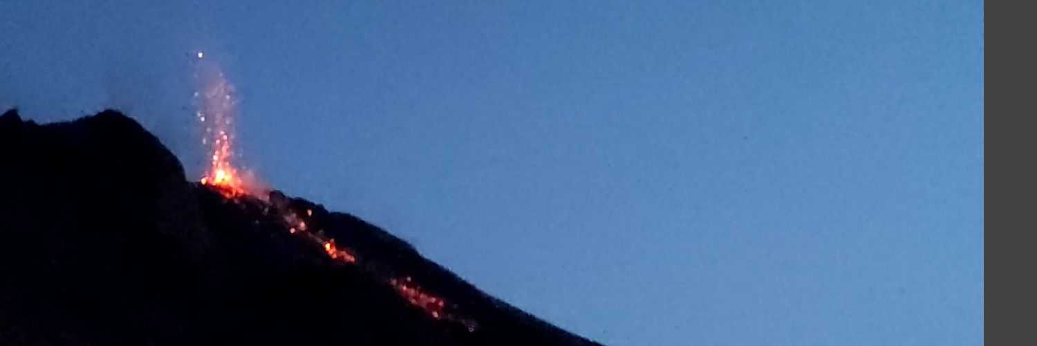 Antonio Sanchez 🔻🇵🇸 banner