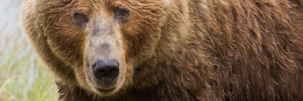 USFWSAlaska Profile Banner
