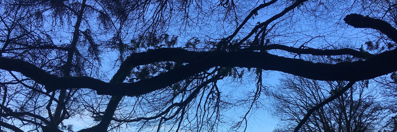 cascaigh's profile banner image