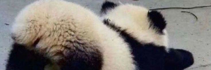 facelock1973's profile banner image