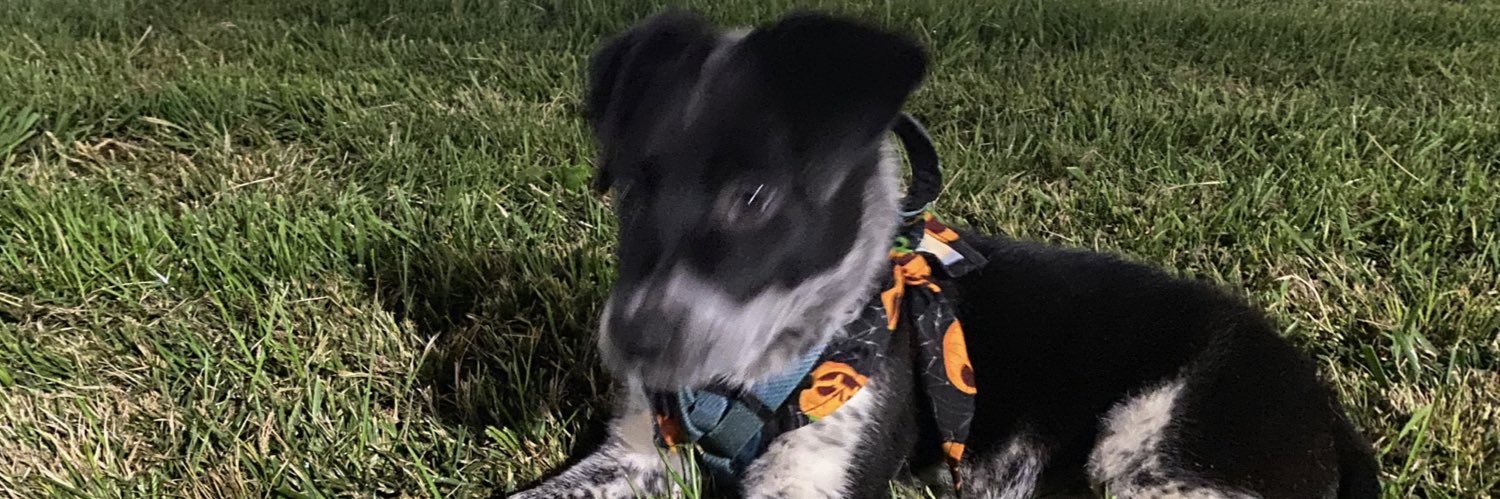 HeyyoNickk's profile banner image