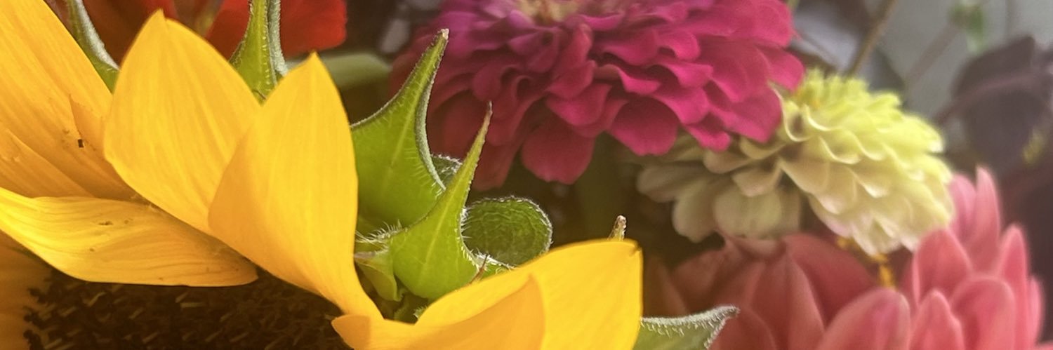 CoochCrook's profile banner image