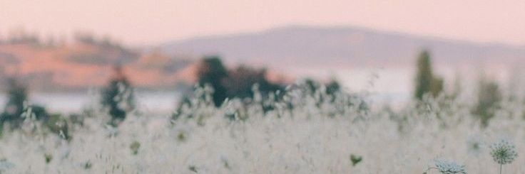 Lychaa's profile banner image