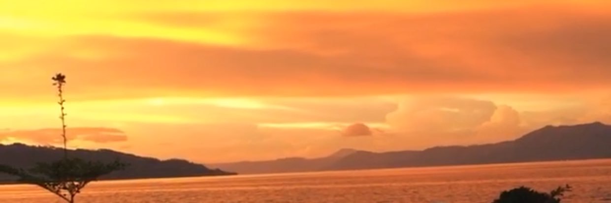 sunsethunter15's profile banner image