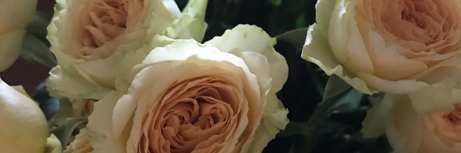 rl_leah's profile banner image