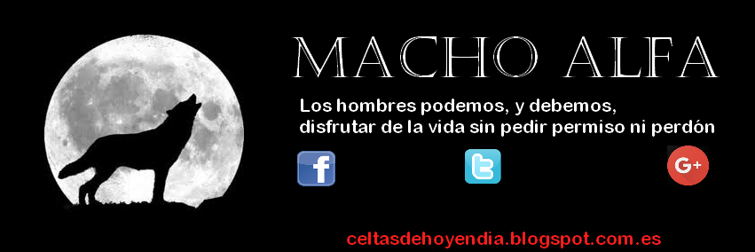 MacchoAlfa's profile banner image