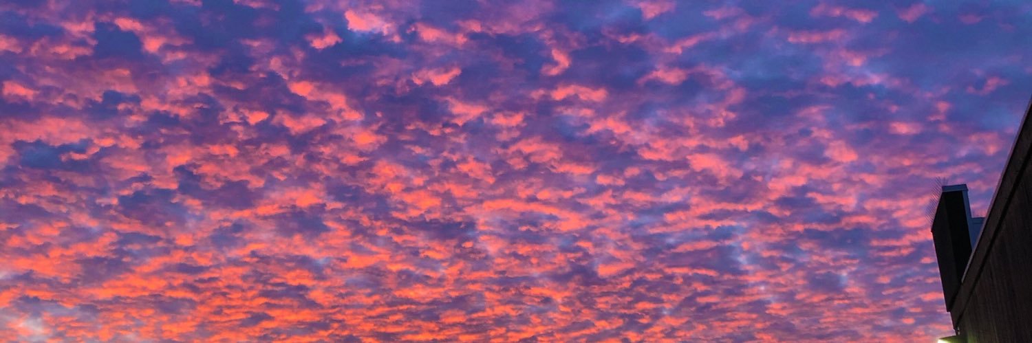AlgorhythmNW's profile banner image