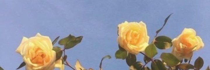 huda1414's profile banner image