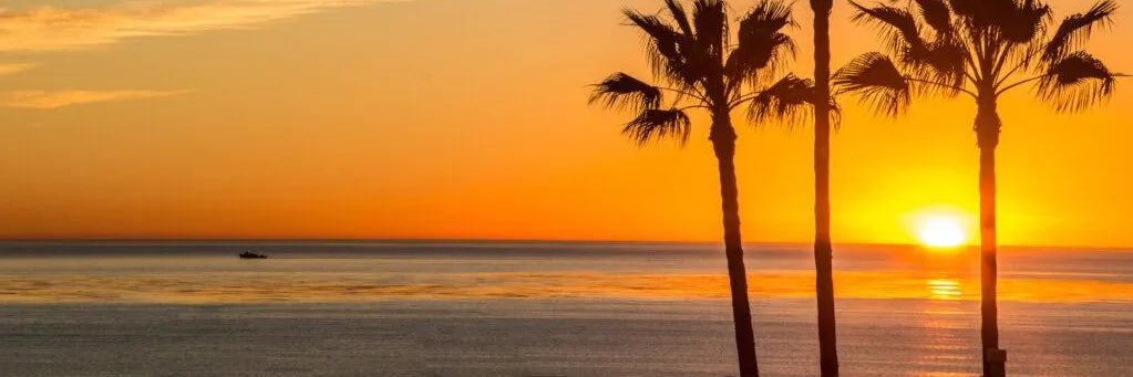 AllisonSattin's profile banner image