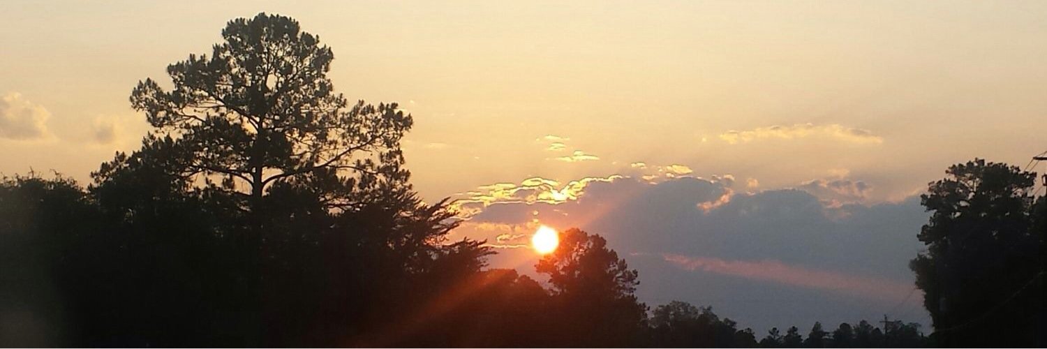 SaRiRayTwitz's profile banner image