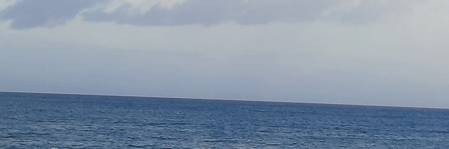HenaSassi's profile banner image