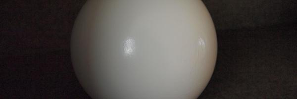 ArjenRonner Profile Banner