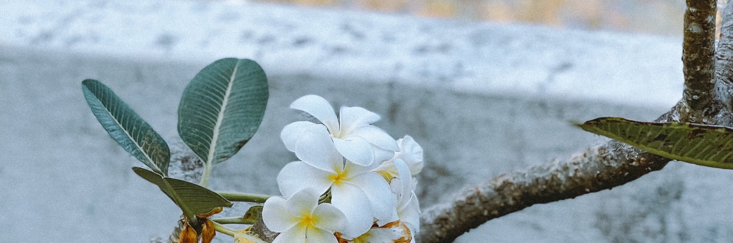 sharaniyaz's profile banner image