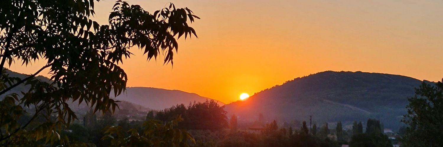 mlkdmrcgl's profile banner image