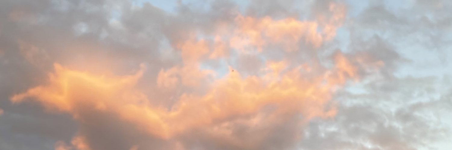 PamelaCastillo banner