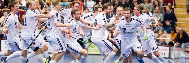 Linköping Innebandy banner