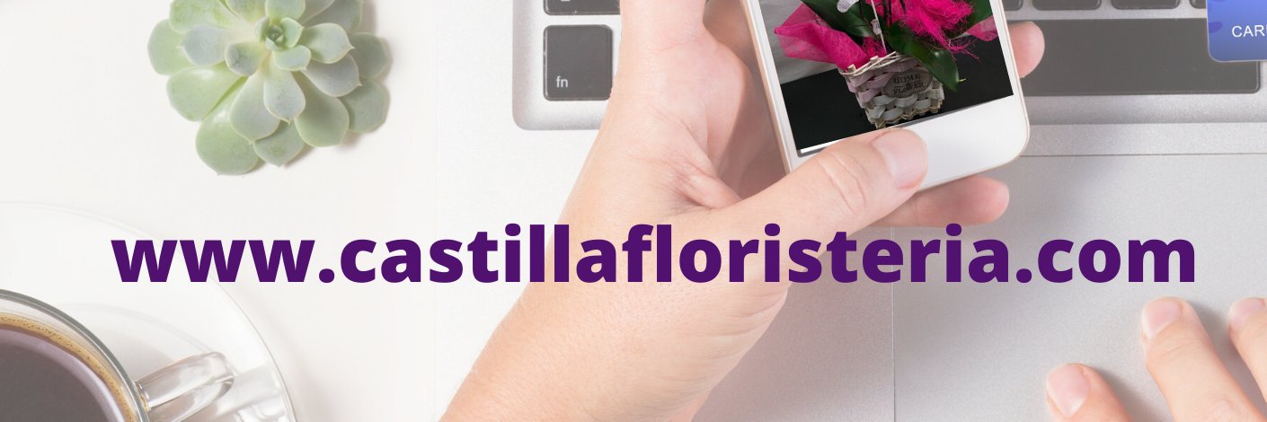 FloresCastilla's profile banner image