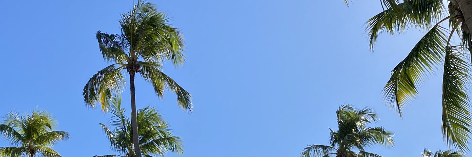 avilarejo's profile banner image