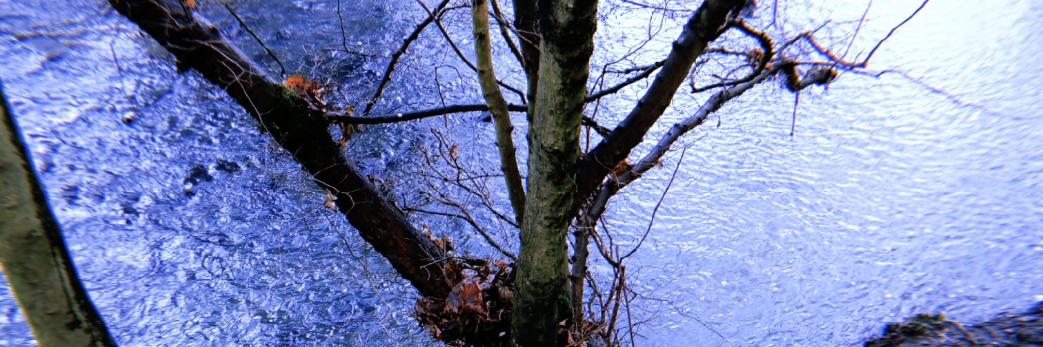 Danielson0510's profile banner image