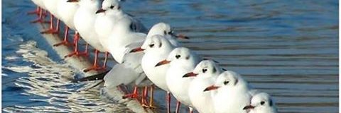 Halperen_'s profile banner image