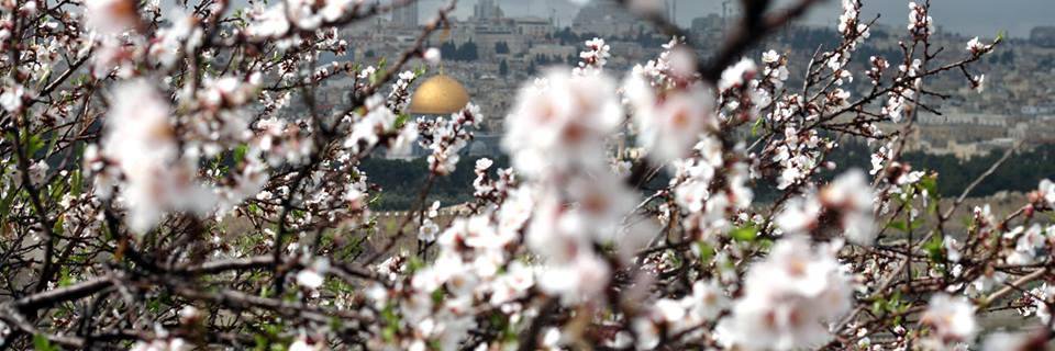 hamadaelhattab's profile banner image