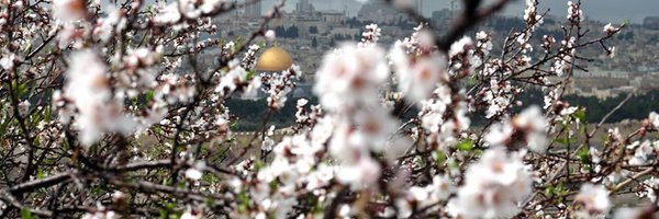 hamadaelhattab Profile Banner