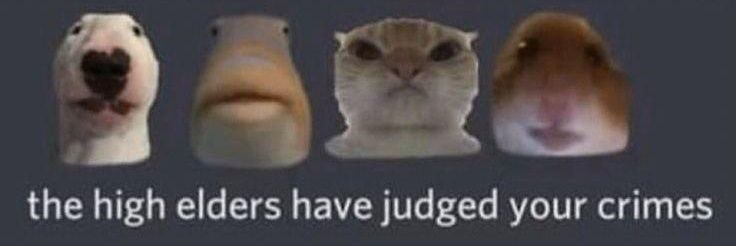 ndrheyy's profile banner image