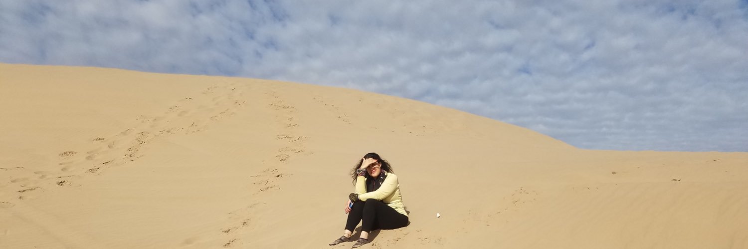 SomayehN's profile banner image
