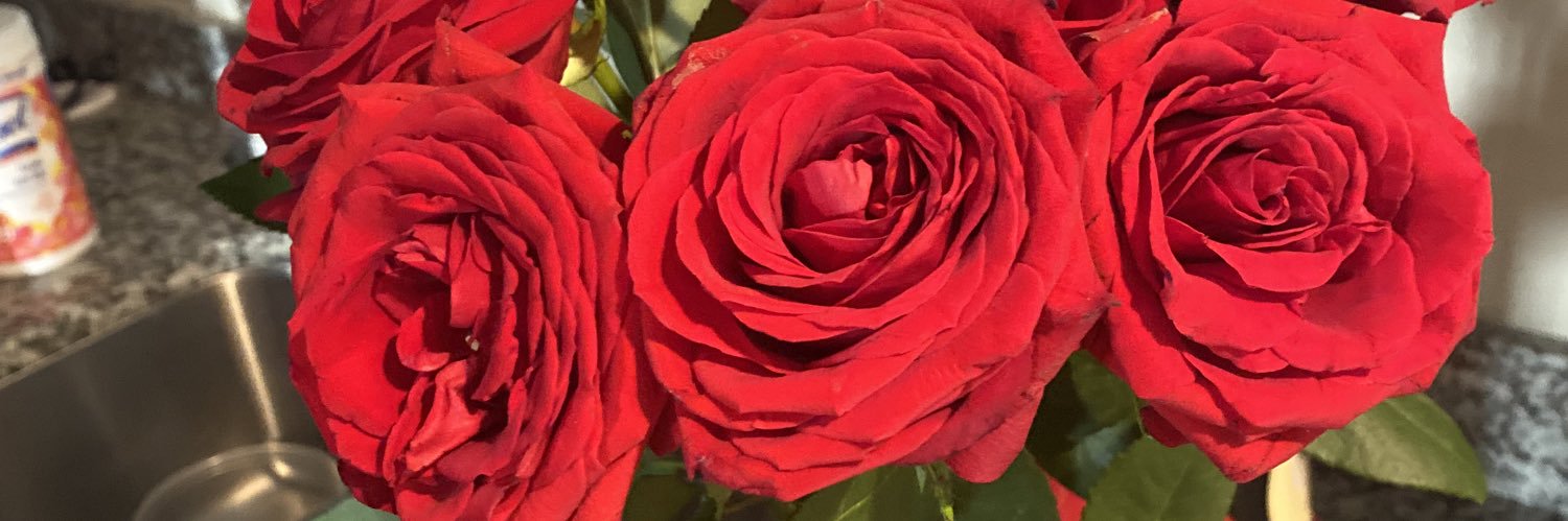 MissCupofTea's profile banner image