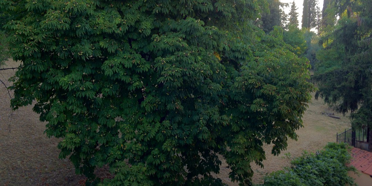 robertachiti's profile banner image